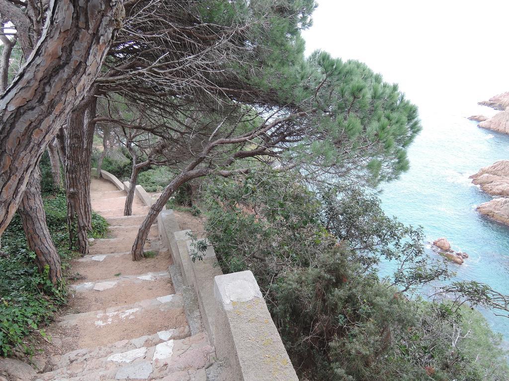 Hostal La Marina Castell-Castell-Platja d'Aro Buitenkant foto